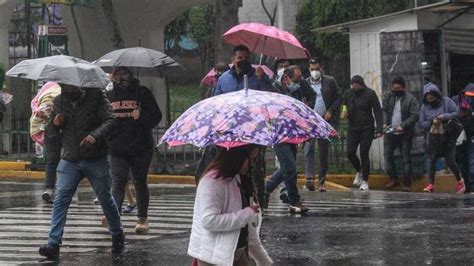 Encharcamientos y árboles caídos por lluvias en CDMX Diario La Bufa