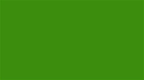 Christmas Green information | Hsl | Rgb | Pantone