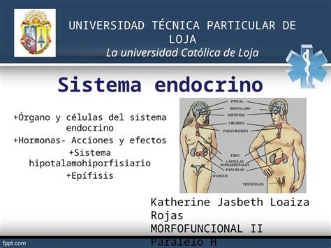 Pptx Histologia Teorica Sistema Endocrino Dokumen Tips