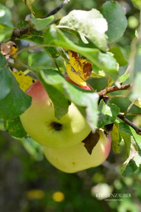 Omas kulinarisches Erbe Apfelstrudel von Oma Lini Küchenzauber