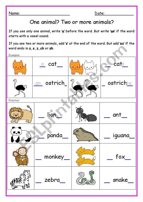 Plurals S Es And Ies Plurals Worksheet Plurals Activity Worksheets Library