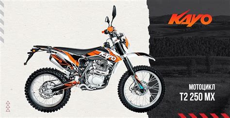 Кроссовый мотоцикл KAYO T2 250 MX – купить в Москве в автосалоне ТОРГМАШ
