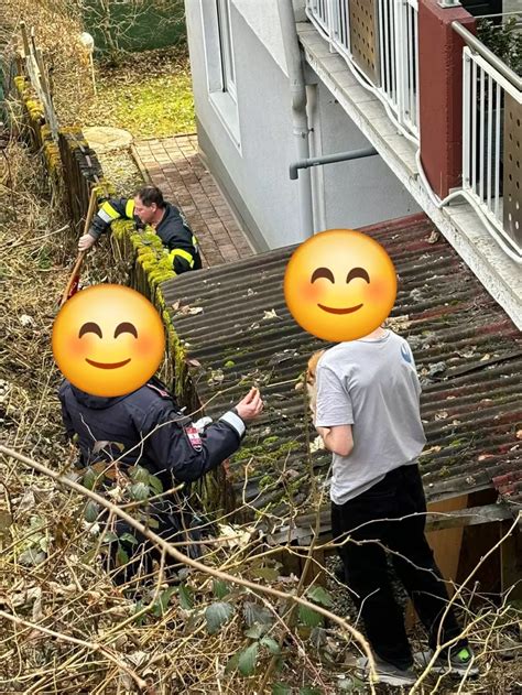 Tierrettung Hund Aus Misslicher Lage Befreit 5 Minuten