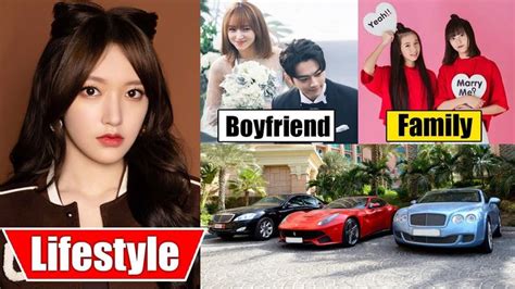 Cheng Xiao Lifestyle Falling Into Your Smile Boyfriend Income