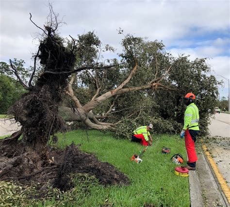 Collier County Government on Twitter: "#CollierCounty road maintenance