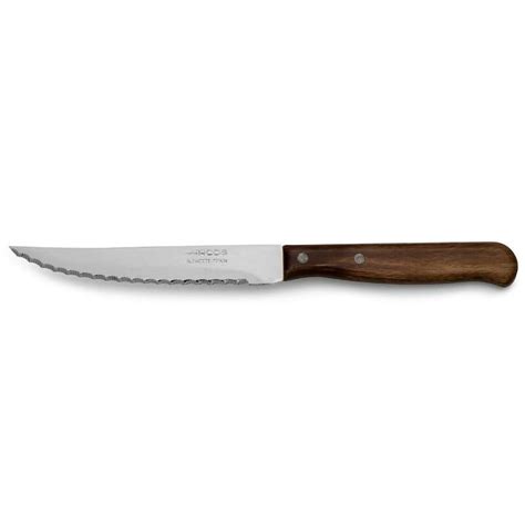 ARCOS LATINA SS Steak Knife 105mm Joo Yong Pte Ltd