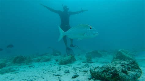 Snorkeling at Cayo de Agua, Los Roques Archipelago | Snorkeling Venezuela