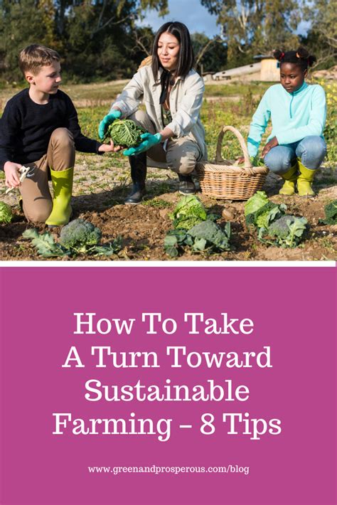 How To Take A Turn Toward Sustainable Farming 8 Tips Green And