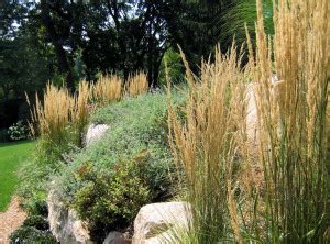 Ornamental Plantings Clc Landscape Design