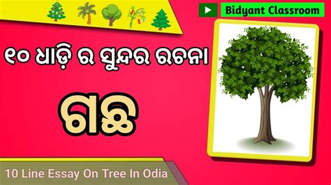 Tree ten line essay in odia ଗଛ ବଷୟର ୧୦ ଧଡ ରଚନ Gachha rachana