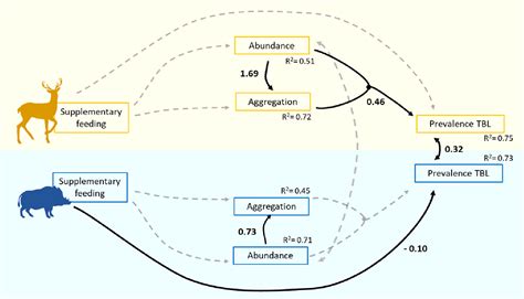 Figure 4 From Disentangling The Effects Of Supplementary Feeding On