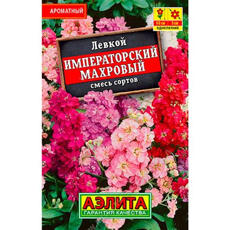 Купить Левкой Императорский махровый Лидер недорого по цене 15руб ...