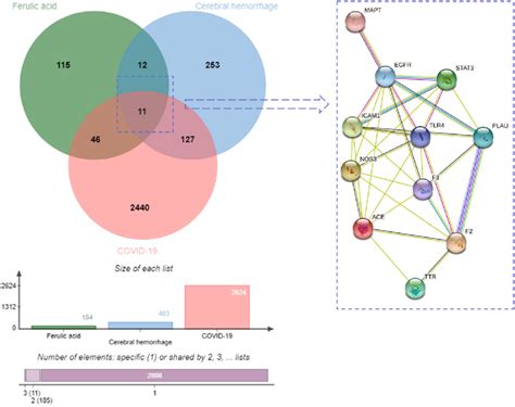 Venn diagram analysis visualized the candidate genes including... | Download Scientific Diagram