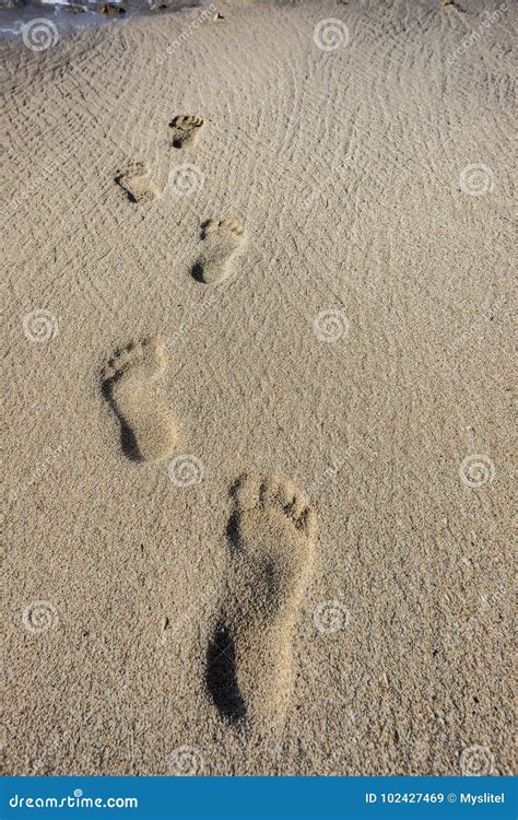 Empreintes De Pas Humaines Dans Le Sable Image Stock Image Du Seaside