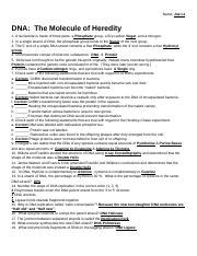 DNA Key Pdf Name 2 Ii I DNA The Molecule Of Heredity Worksheet