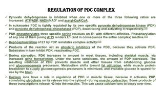 Multienzyme System Pdf