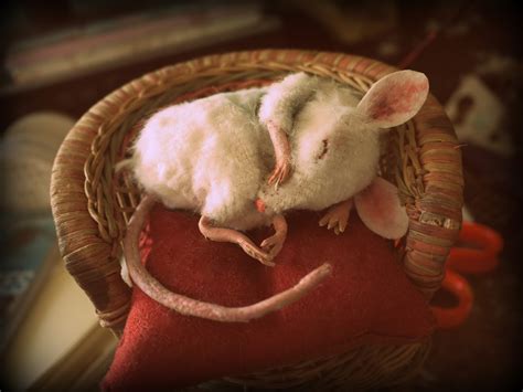 Ruth Winding: Sleeping Mouse- commission