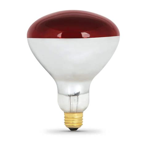 Buy Watt Red Br Dimmable Incandescent Volt Infrared Heat Lamp