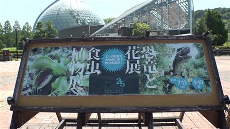 子どもも大人も楽しめます！新潟県立植物園の25周年記念特別企画「食虫植物展・恐竜と花展」 025 ゼロニィゴ 新潟おでかけメディア