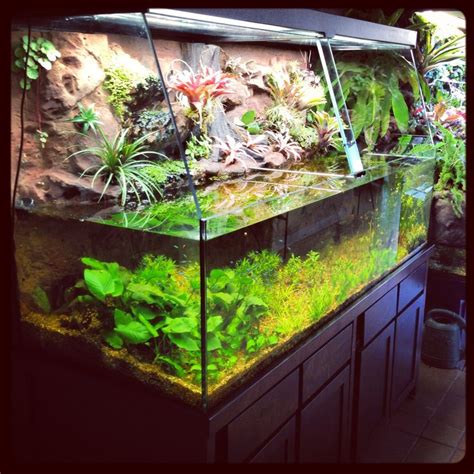 37 best images about Aquarium DIY on Pinterest