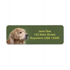 Golden Retriever Address Labels