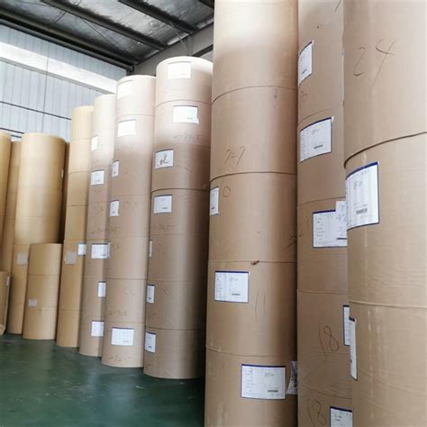 G Pe Single Double Coated Paper Roll And Fan For Paper Cups China