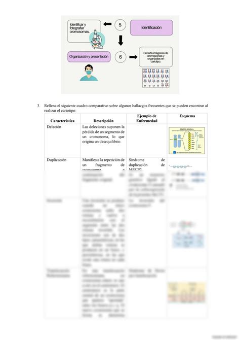 SOLUTION Cariotipo Gen Tica M Dica Studypool