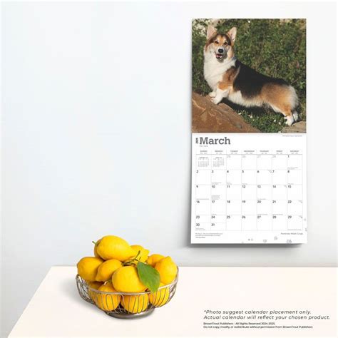 Welsh Corgis Pembroke 2025 Wall Calendar