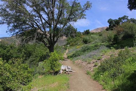 10 Great Santa Barbara Hiking Trails To Tackle - Go Travel California