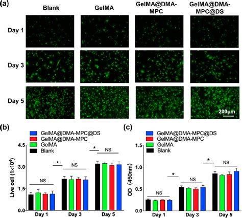 In Vitro Cell Viability And Cell Cytotoxicity Of Three Different Gelma