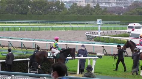 G3 毎日杯 返し馬 阪神競馬場 20220326 競馬動画まとめ