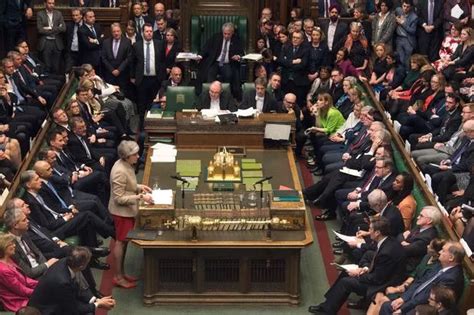 Naked Environmental Protesters Flood House Of Commons As MPs Debate Brexit Mirror Online