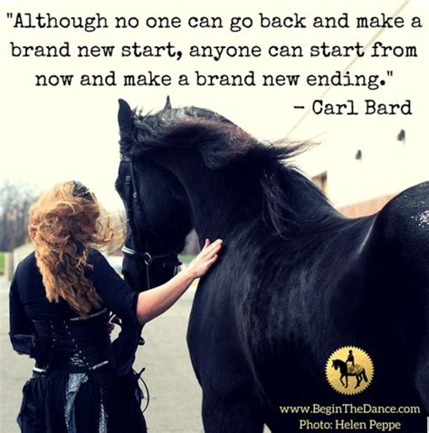 30 Success Quotes For Equestrians Inspiring Horse Quotes To Motivate