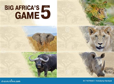 The Big Five Of Africa Icon Set. Cartoon Vector | CartoonDealer.com ...