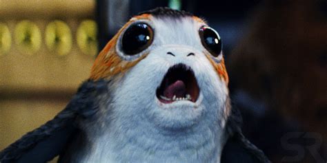 Star Wars: The Last Jedi's PORG Hero Finally Has a Name