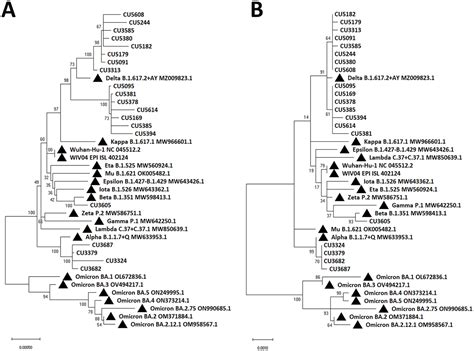 Nano COVID 19 Nanopore Sequencing Of Spike Gene To Identify SARS CoV