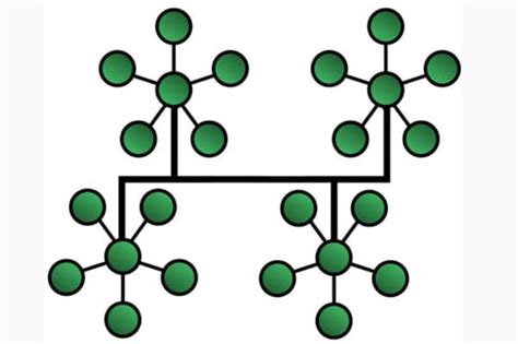 Ventajas Y Desventajas De Red En Arbol Proscont Hot Sex Picture