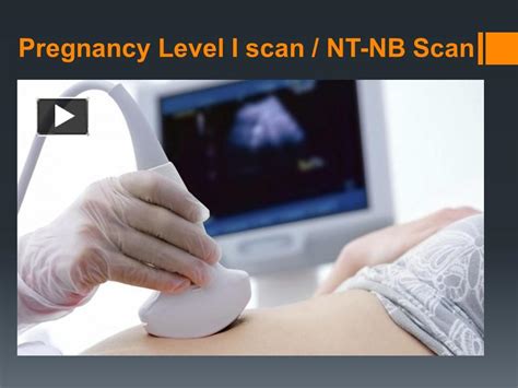 Ppt Pregnancy Level I Scan Nt Nb Scan Powerpoint Presentation