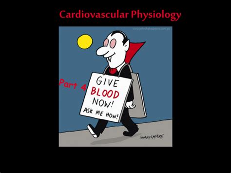 Cardiovascular Physiology