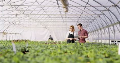 Agricoltura Sociale Premiate Donne Sud E Aree Interne Il Tempo