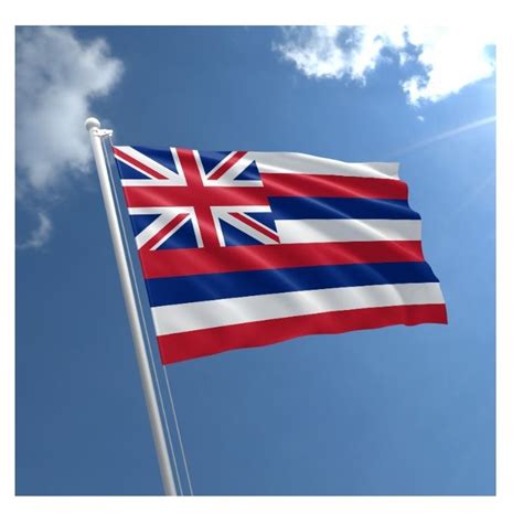 Hawaiian Flag 3x5 Ft Cheap Price Hawaii Flag Banner 5x3 Flying Hanging