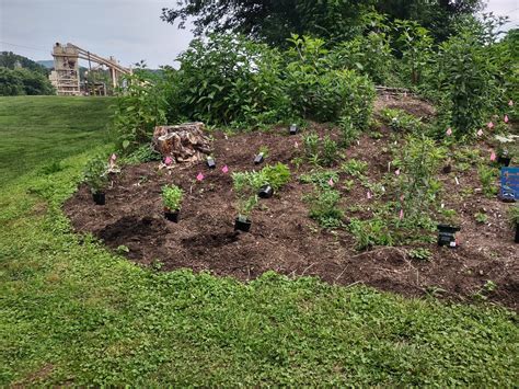 Fdlreporter obits provide a window into local history 18