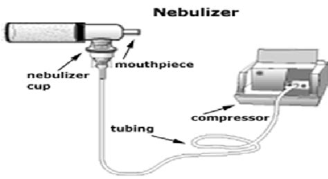 Nebulization therapy, Contraindication, Equipments and procedure | Free ...