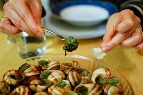 Comment Pr Parer Des Escargots Vivants Pour Des Plats D Licieux