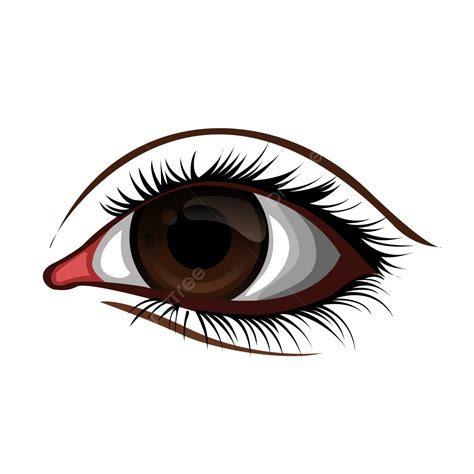 One Eye Illustration Vector One Eye Eye 2d Eye Png And Vector With