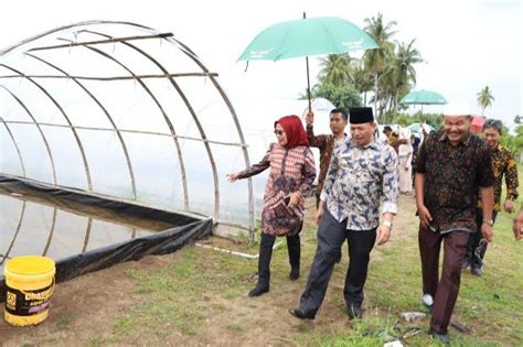 Hektare Disiapkan Untuk Pengembangan Budidaya Garam