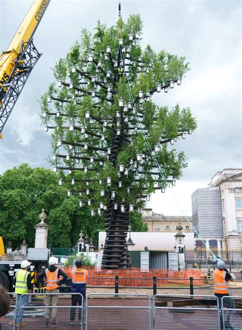 Queen Elizabeths Sky Scraping Jubilee Tree Unveiled