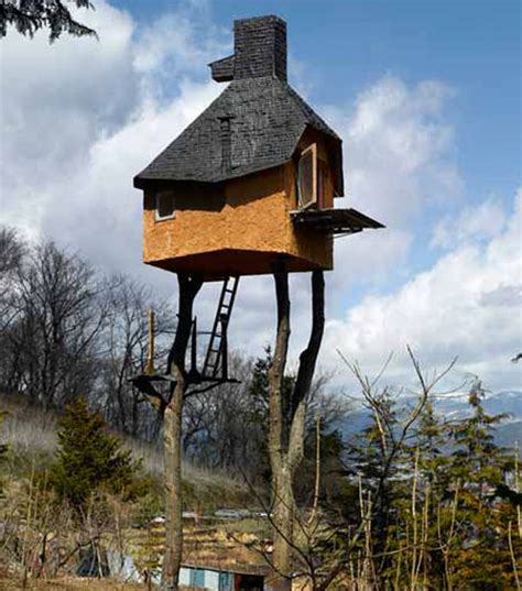 Unique And Creative Tree Houses - Top Dreamer