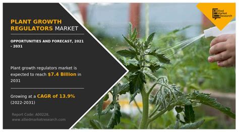 Plant Growth Regulators Market: Application Insights