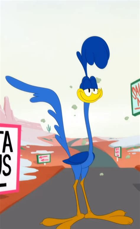 Looney Tunes Road Runner Cartoon